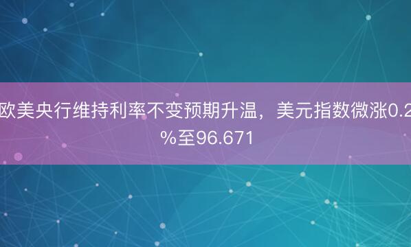 欧美央行维持利率不变预期升温，美元指数微涨0.2%至96.671