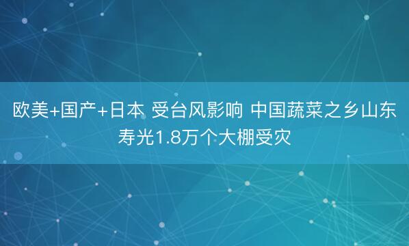 欧美+国产+日本 受台风影响 中国蔬菜之乡山东寿光1.8万个大棚受灾