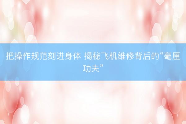 把操作规范刻进身体 揭秘飞机维修背后的“毫厘功夫”