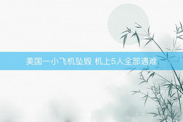 美国一小飞机坠毁 机上5人全部遇难
