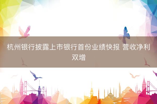 杭州银行披露上市银行首份业绩快报 营收净利双增