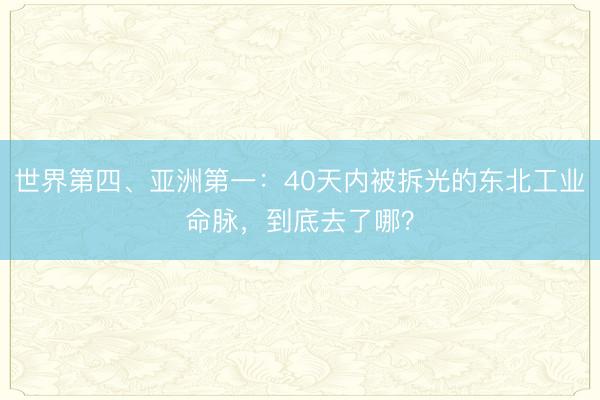 世界第四、亚洲第一：40天内被拆光的东北工业命脉，到底去了哪？