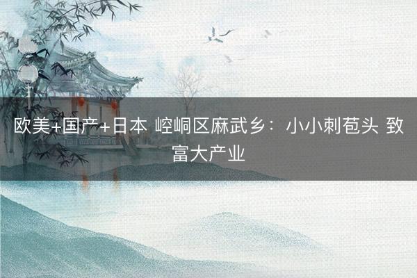 欧美+国产+日本 崆峒区麻武乡：小小刺苞头 致富大产业