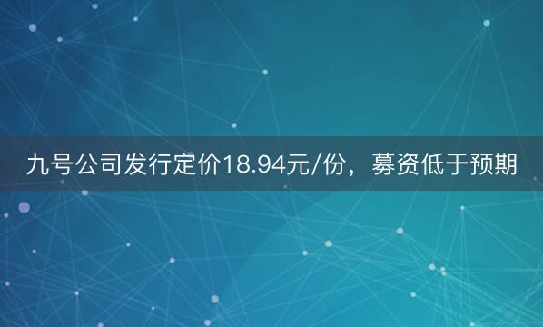 九号公司发行定价18.94元/份，募资低于预期