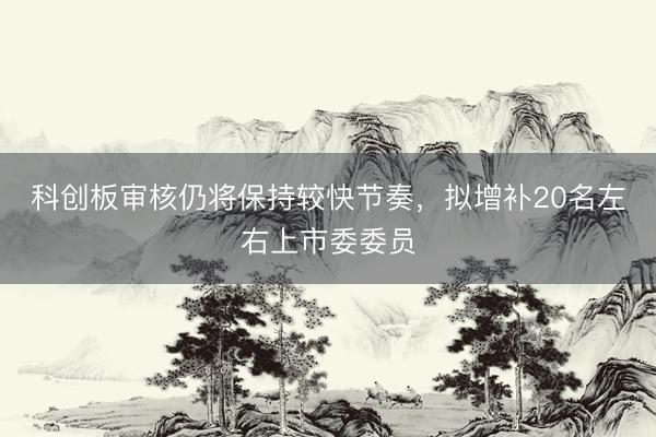 科创板审核仍将保持较快节奏，拟增补20名左右上市委委员
