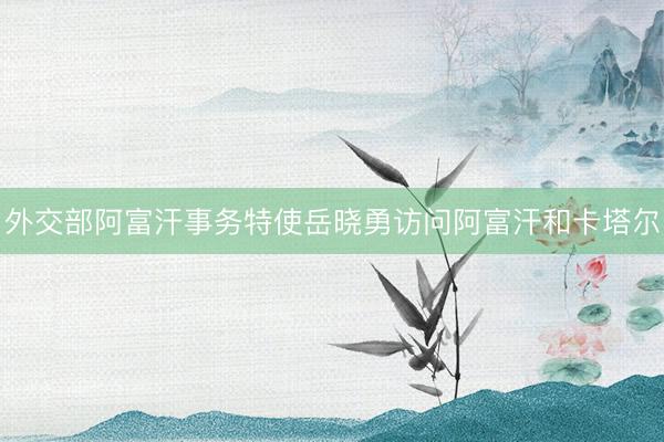 外交部阿富汗事务特使岳晓勇访问阿富汗和卡塔尔