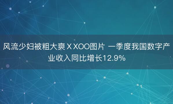 风流少妇被粗大爽ⅩXOO图片 一季度我国数字产业收入同比增长12.9%