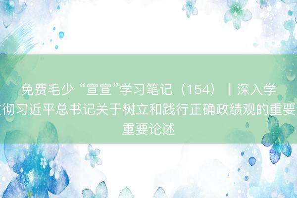 免费毛少 “宣宣”学习笔记（154）丨深入学习贯彻习近平总书记关于树立和践行正确政绩观的重要论述