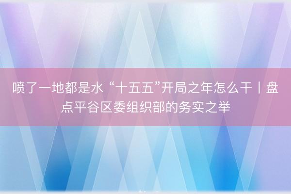 喷了一地都是水 “十五五”开局之年怎么干丨盘点平谷区委组织部的务实之举