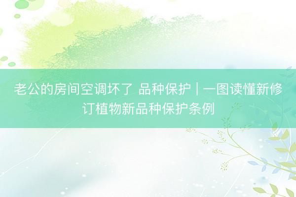 老公的房间空调坏了 品种保护 | 一图读懂新修订植物新品种保护条例