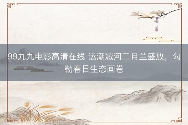 99九九电影高清在线 运潮减河二月兰盛放，勾勒春日生态画卷