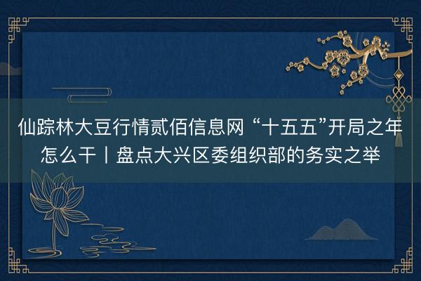 仙踪林大豆行情贰佰信息网 “十五五”开局之年怎么干丨盘点大兴区委组织部的务实之举