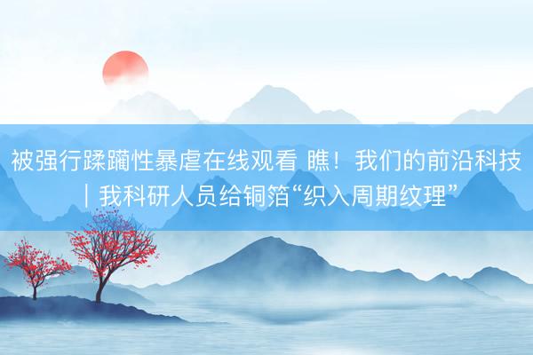 被强行蹂躏性暴虐在线观看 瞧！我们的前沿科技｜我科研人员给铜箔“织入周期纹理”