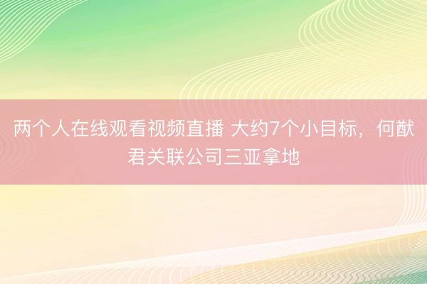 两个人在线观看视频直播 大约7个小目标，何猷君关联公司三亚拿地