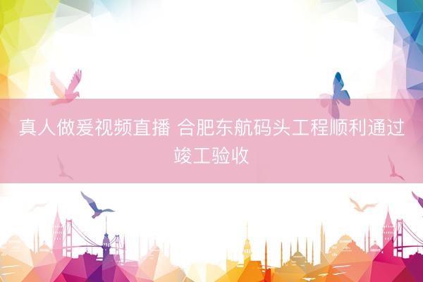 真人做爰视频直播 合肥东航码头工程顺利通过竣工验收