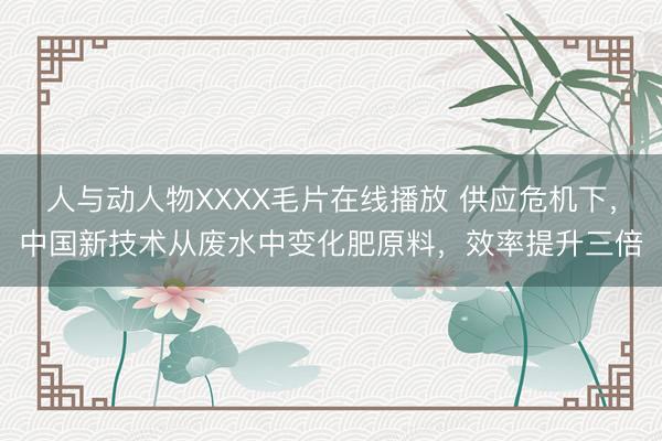 人与动人物XXXX毛片在线播放 供应危机下，中国新技术从废水中变化肥原料，效率提升三倍