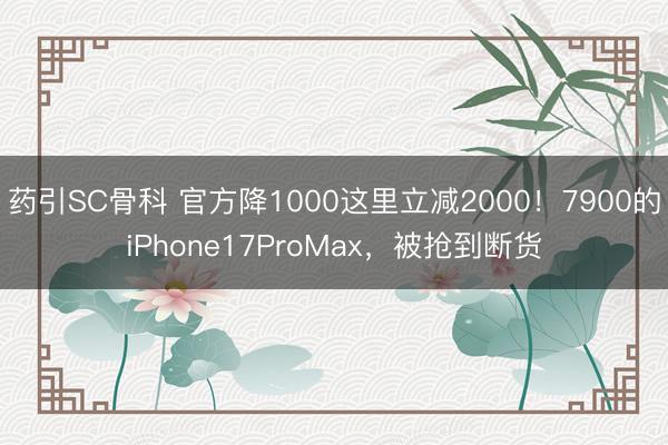 药引SC骨科 官方降1000这里立减2000！7900的iPhone17ProMax，被抢到断货