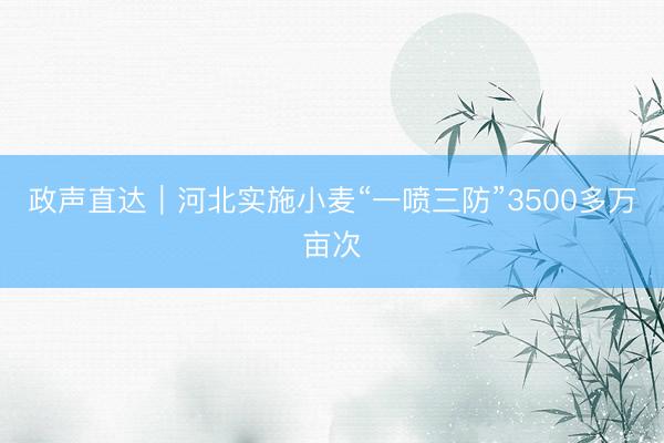 政声直达｜河北实施小麦“一喷三防”3500多万亩次