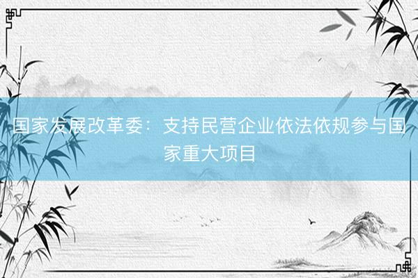 国家发展改革委：支持民营企业依法依规参与国家重大项目