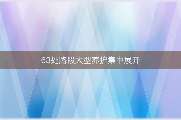 63处路段大型养护集中展开