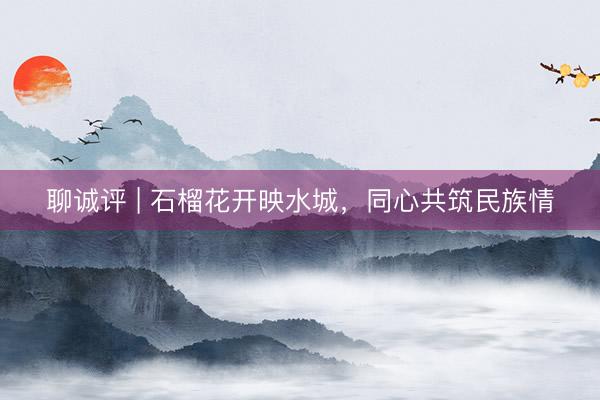 聊诚评 | 石榴花开映水城，同心共筑民族情