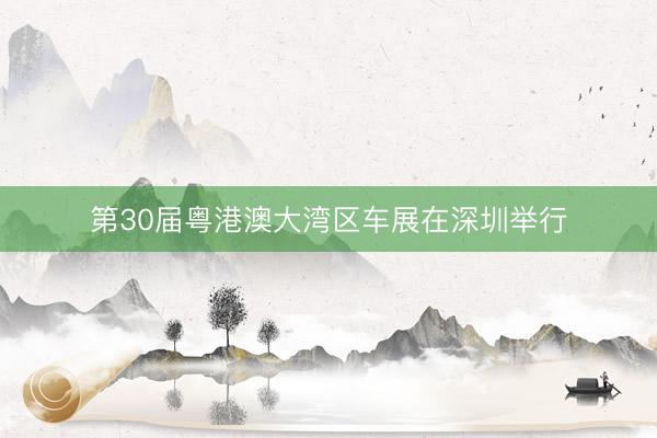 第30届粤港澳大湾区车展在深圳举行