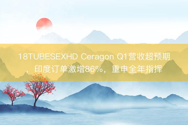 18TUBESEXHD Ceragon Q1营收超预期，印度订单激增86%，重申全年指挥