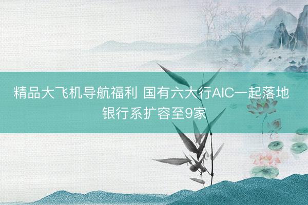 精品大飞机导航福利 国有六大行AIC一起落地 银行系扩容至9家