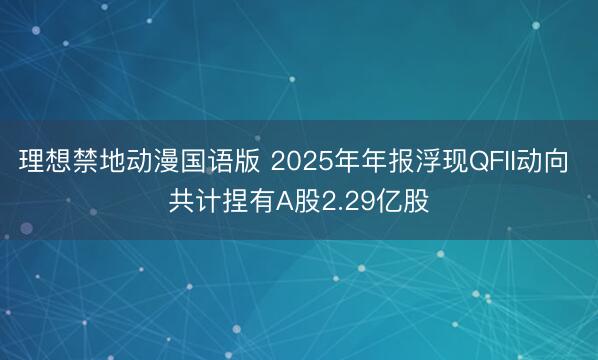 理想禁地动漫国语版 2025年年报浮现QFII动向 共计捏有A股2.29亿股