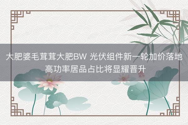 大肥婆毛茸茸大肥BW 光伏组件新一轮加价落地 高功率居品占比将显耀晋升