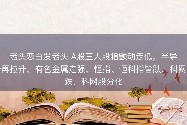 老头恋白发老头 A股三大股指颤动走低，半导体逆势再拉升，有色金属走强，恒指、恒科指皆跌，科网股分化