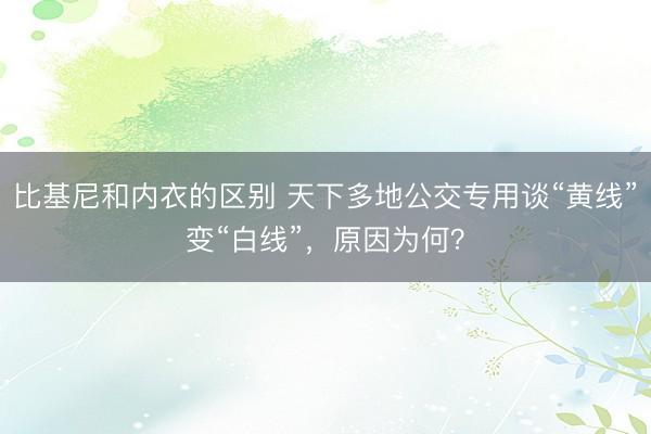 比基尼和内衣的区别 天下多地公交专用谈“黄线”变“白线”，原因为何？