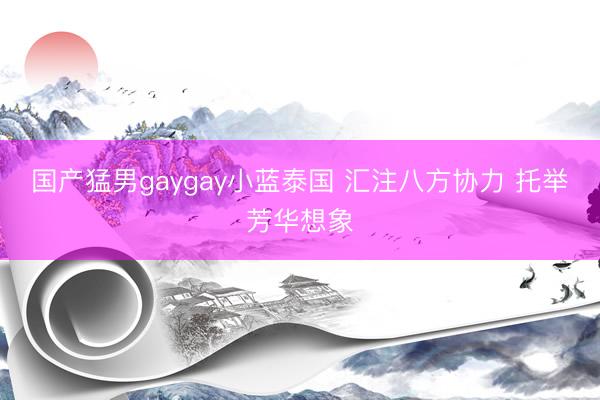 国产猛男gaygay小蓝泰国 汇注八方协力 托举芳华想象