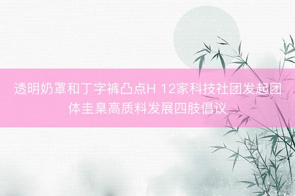 透明奶罩和丁字裤凸点H 12家科技社团发起团体圭臬高质料发展四肢倡议