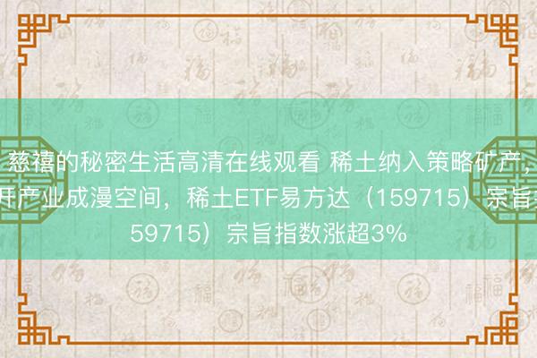慈禧的秘密生活高清在线观看 稀土纳入策略矿产，新兴需求大开产业成漫空间，稀土ETF易方达（159715）宗旨指数涨超3%