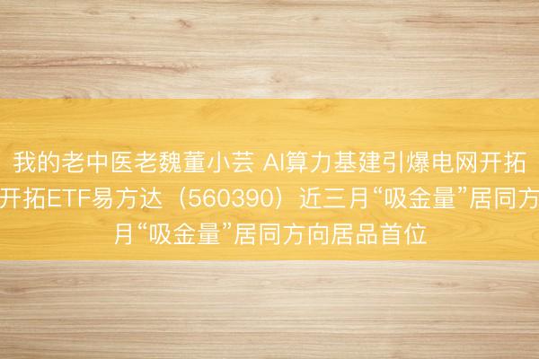 我的老中医老魏董小芸 AI算力基建引爆电网开拓需求，电网开拓ETF易方达（560390）近三月“吸金量”居同方向居品首位