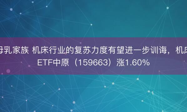 母乳家族 机床行业的复苏力度有望进一步训诲，机床ETF中原（159663）涨1.60%