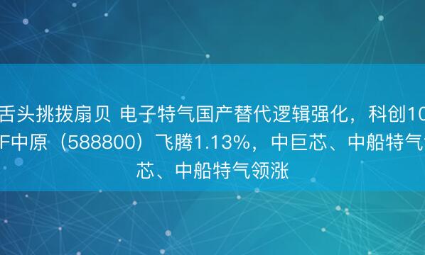 舌头挑拨扇贝 电子特气国产替代逻辑强化，科创100ETF中原（588800）飞腾1.13%，中巨芯、中船特气领涨