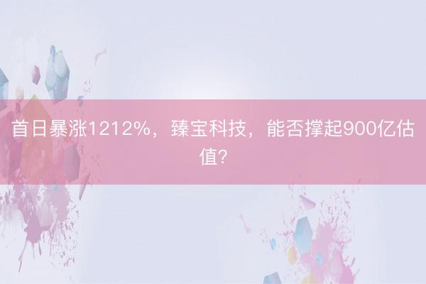 首日暴涨1212%，臻宝科技，能否撑起900亿估值？